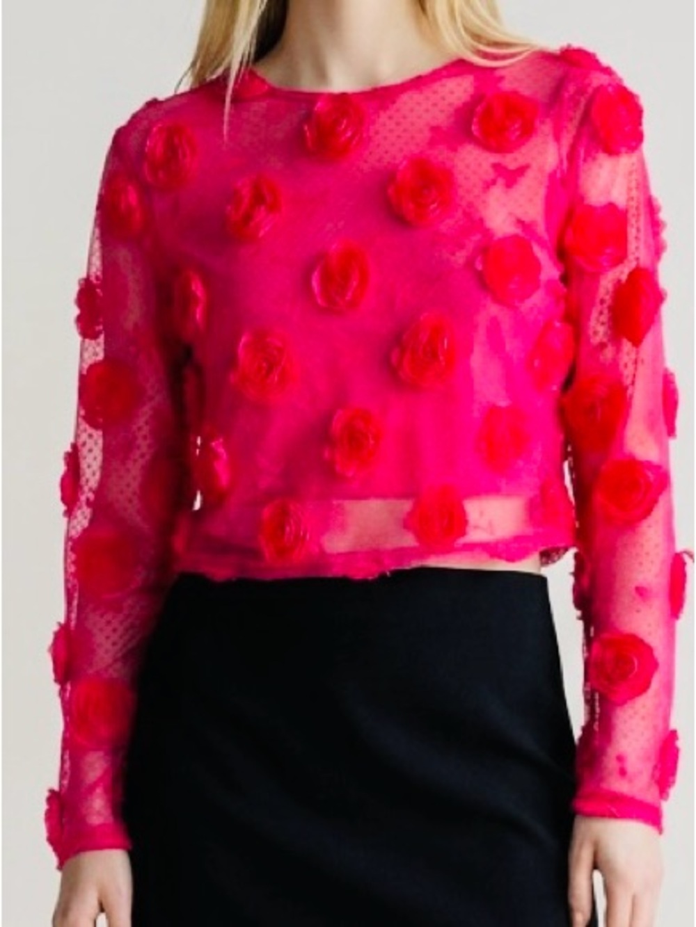 SHEIN Hot Pink Sheer 3D Floral Crop Top